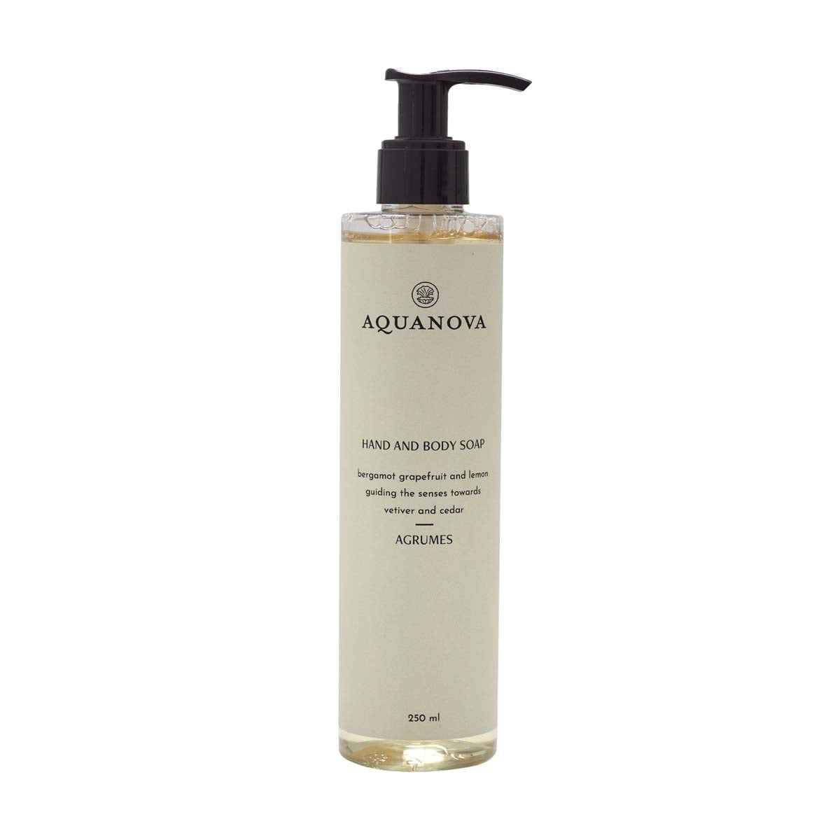Paris - Liquid soap