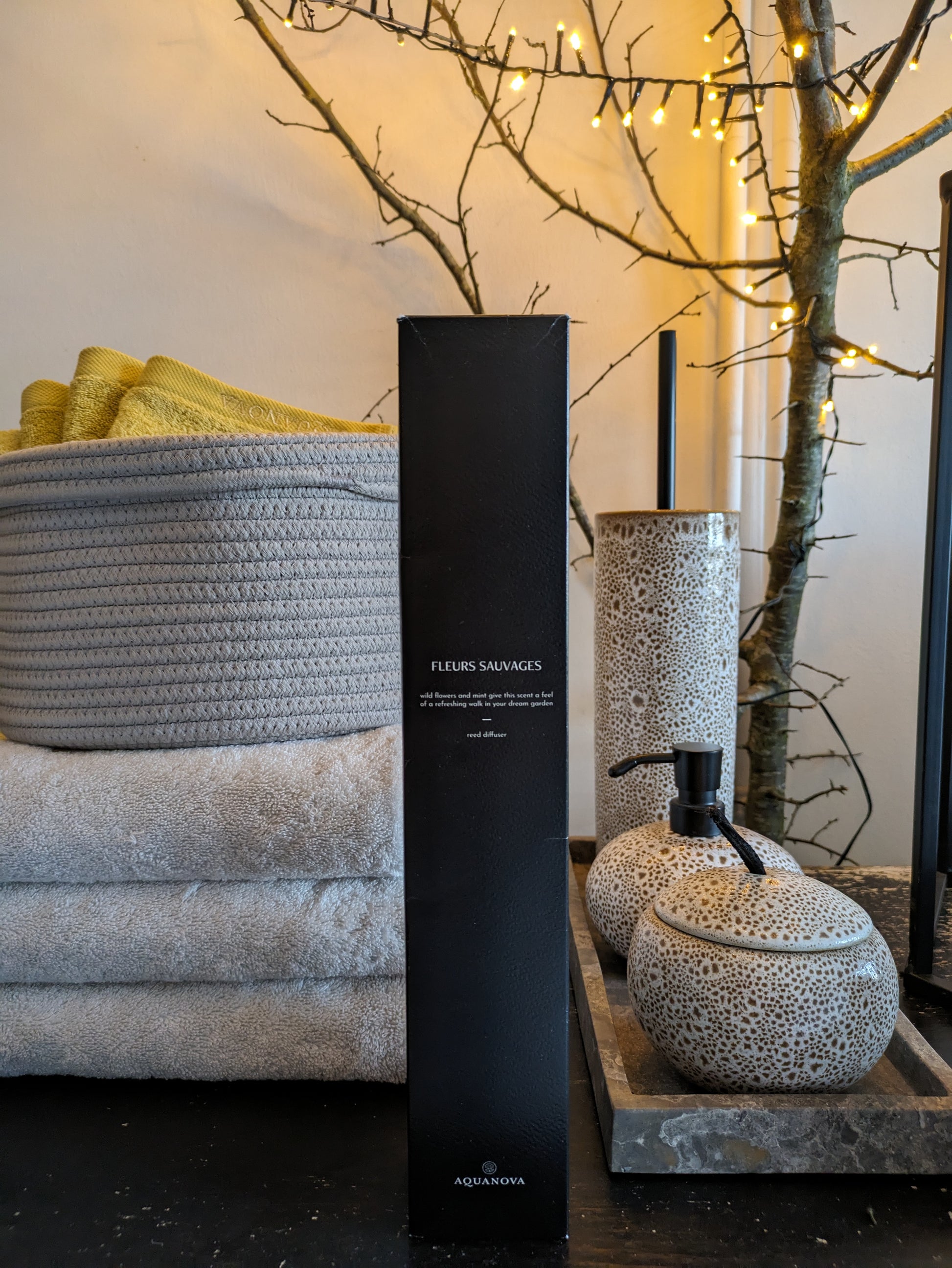 Paris - Reed diffuser – Aquanova